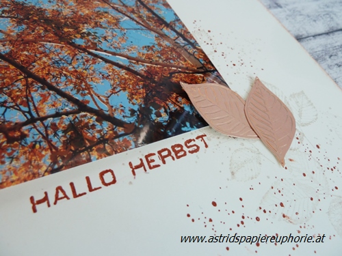 Du betrachtest gerade Bloghop Woche Herbst – Layout