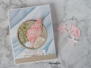 Mehr über den Artikel erfahren Fancy fold Window pop up card Muscheln