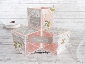 Mehr über den Artikel erfahren Fancy Folds Triple Cube Pop Up Card