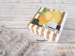 Mehr über den Artikel erfahren Pizzabox Paper Pumpkin Sonne Pur